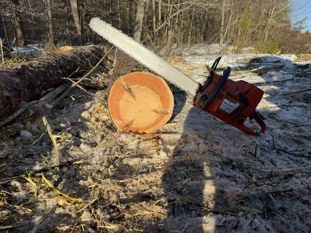 Top-rated garden landscaping for outdoor upgrades in Fredericksburg, VA by Rangel's Tree and Landscaping Services