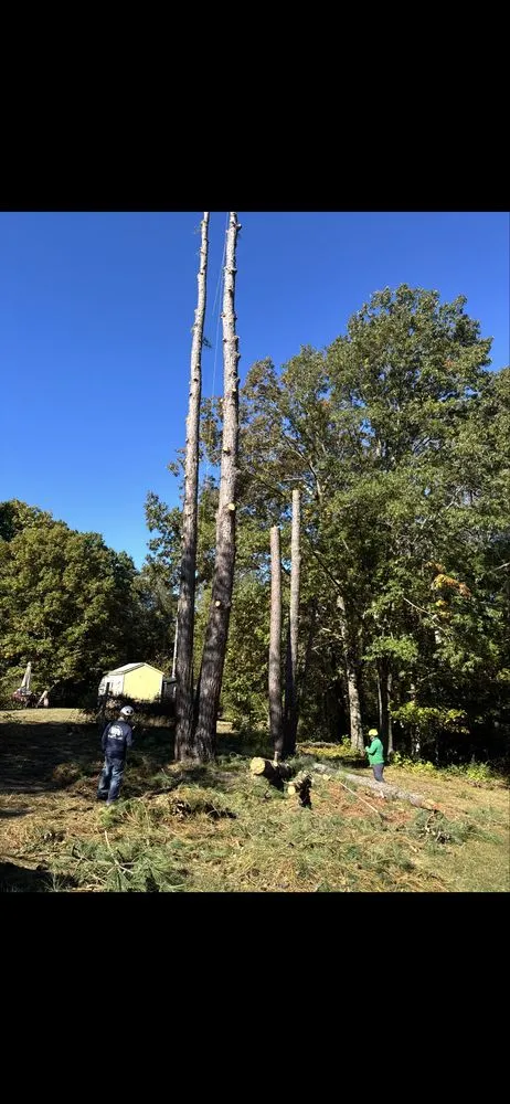 Trusted lawn mowing service in Fredericksburg, VA by Rangel's Tree and Landscaping Services