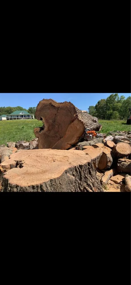 Reliable yard maintenance for beautiful yards in Fredericksburg, VA by Rangel's Tree and Landscaping Services