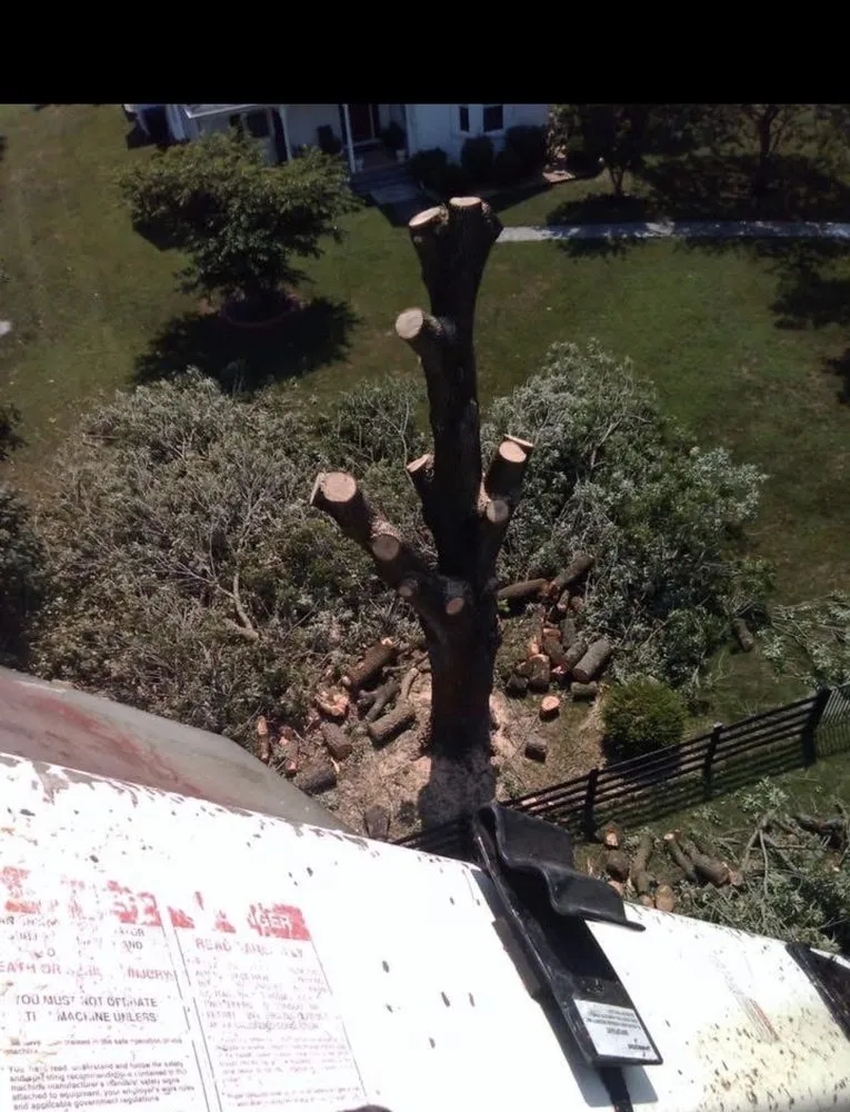 Reliable garden landscaping for outdoor upgrades in Fredericksburg, VA by Rangel's Tree and Landscaping Services