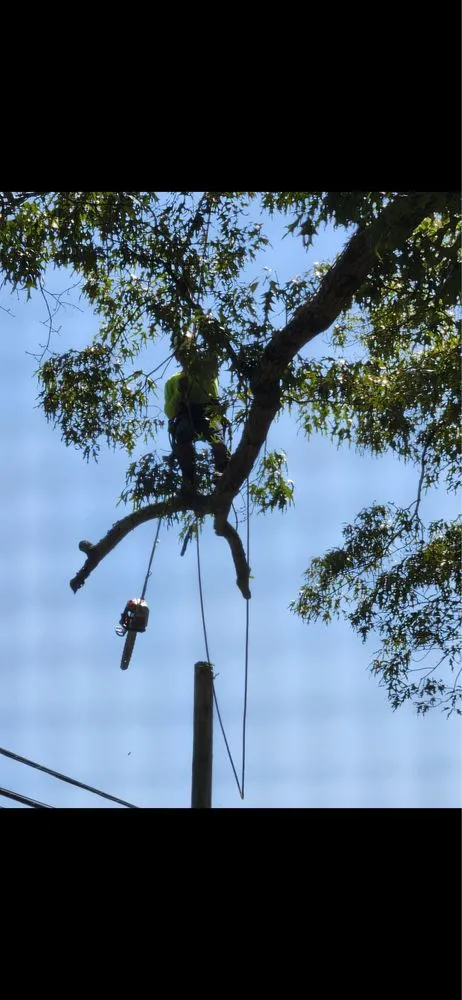 Local garden landscaping for residential properties in Fredericksburg, VA by Rangel's Tree and Landscaping Services
