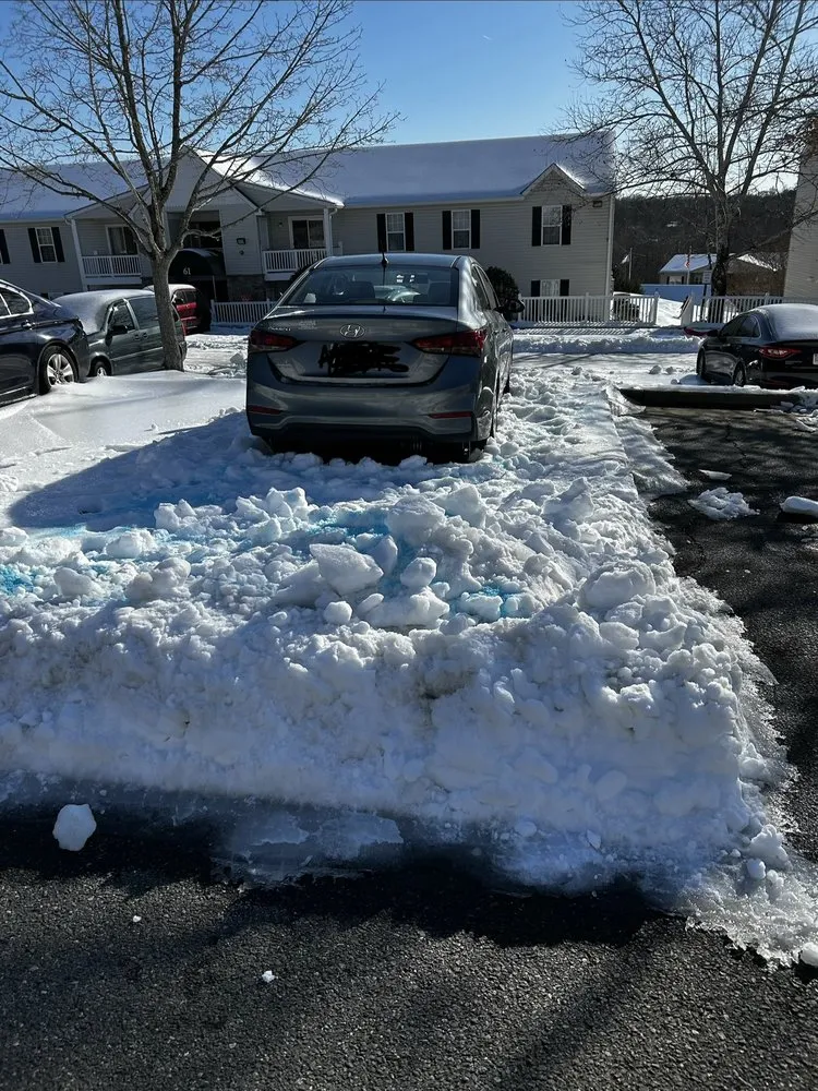 Expert residential landscaping in Fredericksburg, VA - Rangel's Tree and Landscaping Services