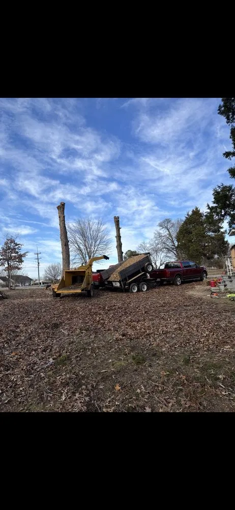 Expert yard cleanup service near you across Fredericksburg, VA - Rangel's Tree and Landscaping Services