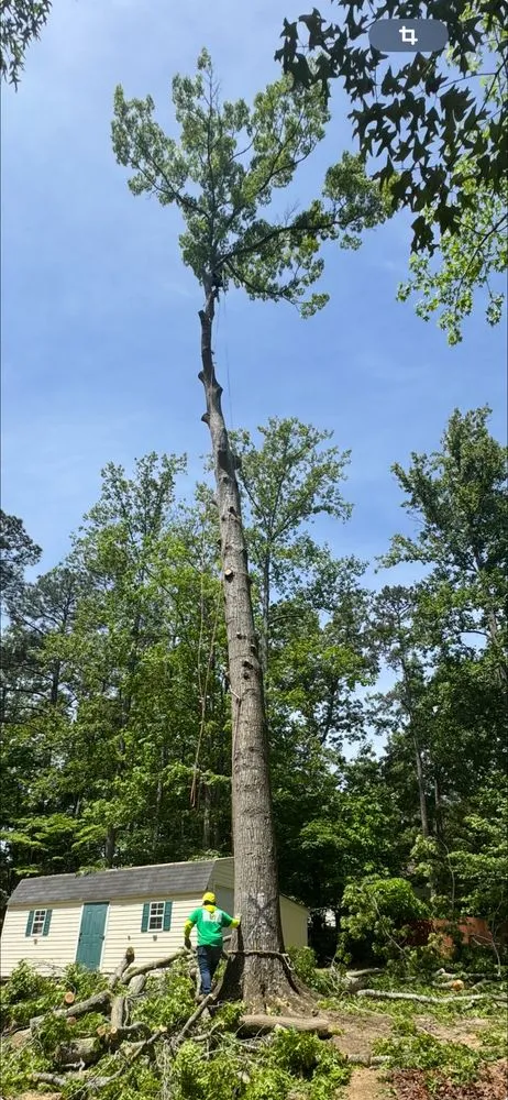 Professional landscape design in Fredericksburg, VA - Rangel's Tree and Landscaping Services