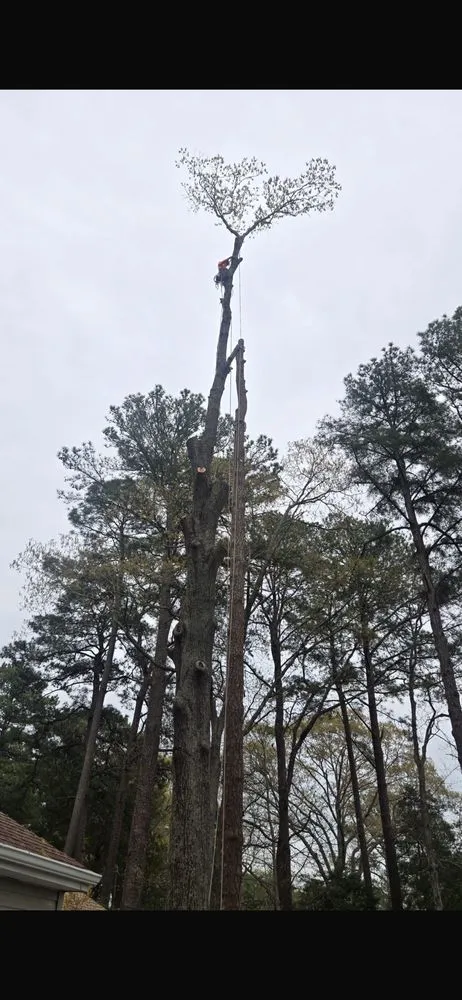 Affordable yard maintenance for beautiful yards in Fredericksburg, VA by Rangel's Tree and Landscaping Services