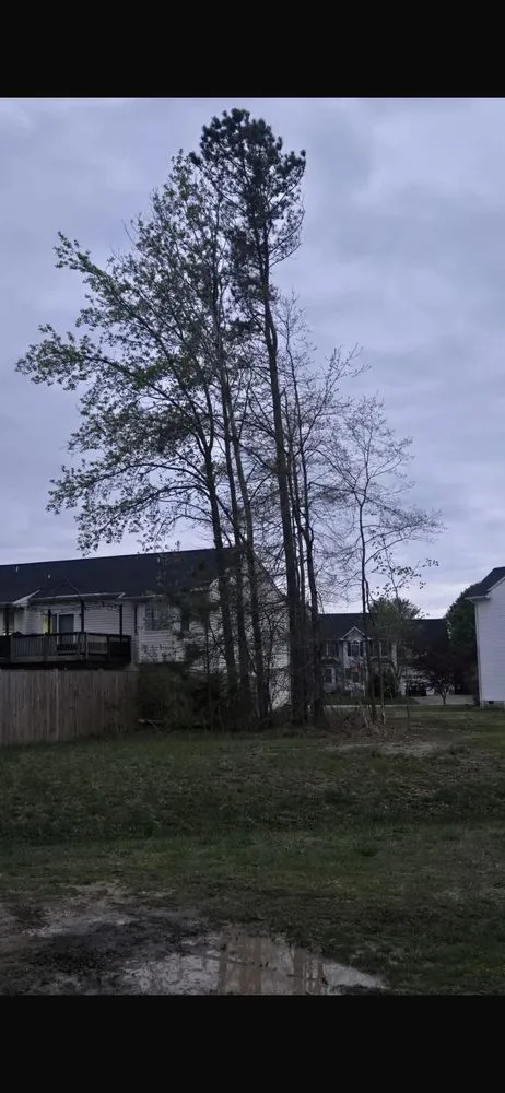 Top-rated outdoor landscaping with custom design in Fredericksburg, VA by Rangel's Tree and Landscaping Services