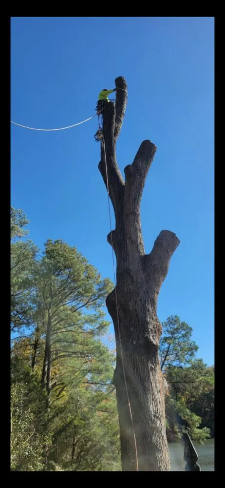 Reliable landscape installation in Fredericksburg, VA - Rangel's Tree and Landscaping Services