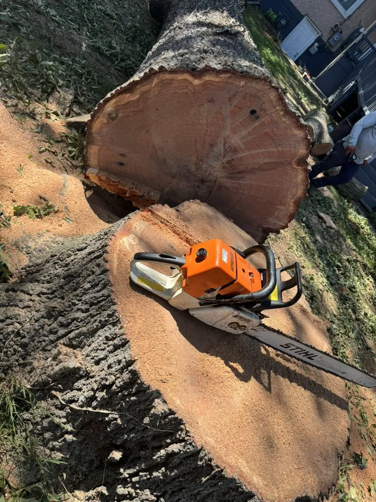 Expert garden landscaping for homes in Fredericksburg, VA by Rangel's Tree and Landscaping Services