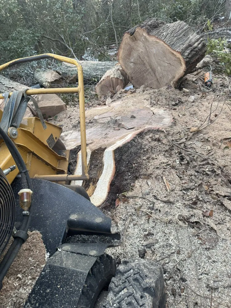 Local landscaping services in Fredericksburg, VA by Rangel's Tree and Landscaping Services