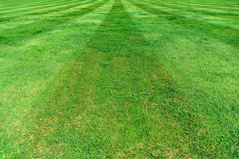 Trusted lawn care service near you across Martinsville, IN - Ranger Carpentry and Landscaping