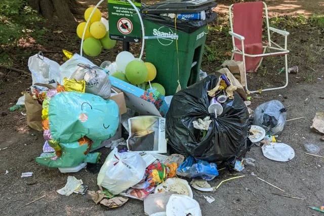 Reliable lawn mowing service in Titusville, FL by Ranger Danger Removal Services