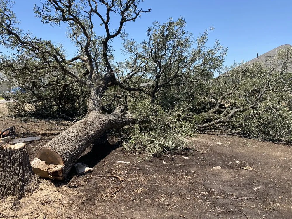 Top-rated landscaping services with custom design across Canyon Lake, TX - Ranger Land Services