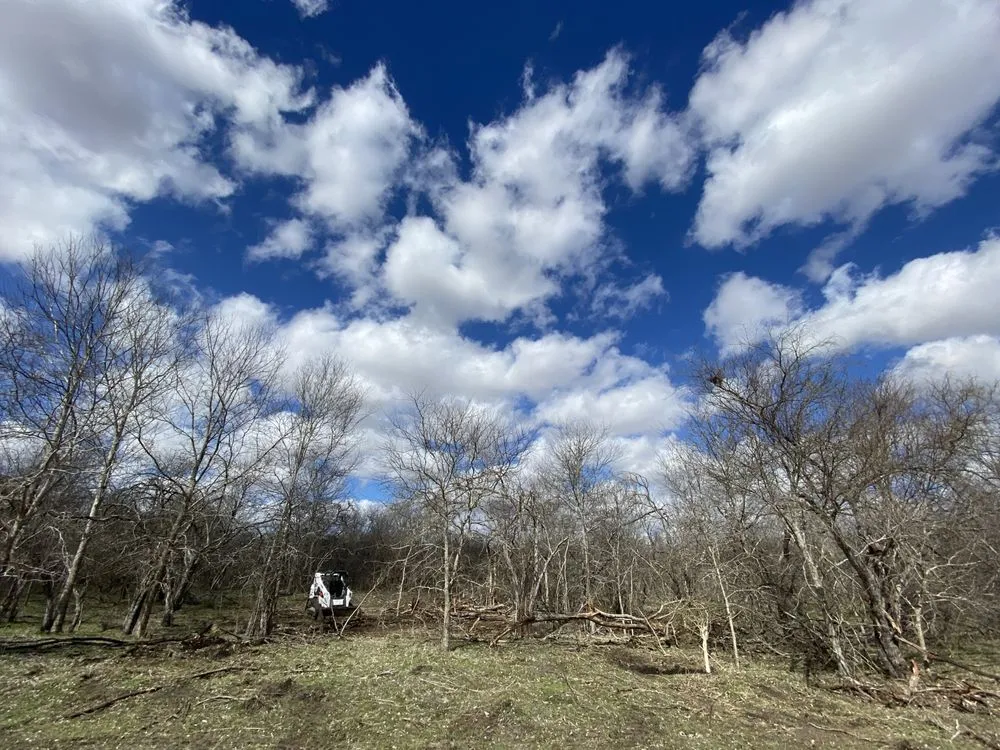 Affordable lawn care service for year-round maintenance across Canyon Lake, TX - Ranger Land Services