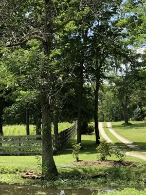 Ranger Landscaping Logo