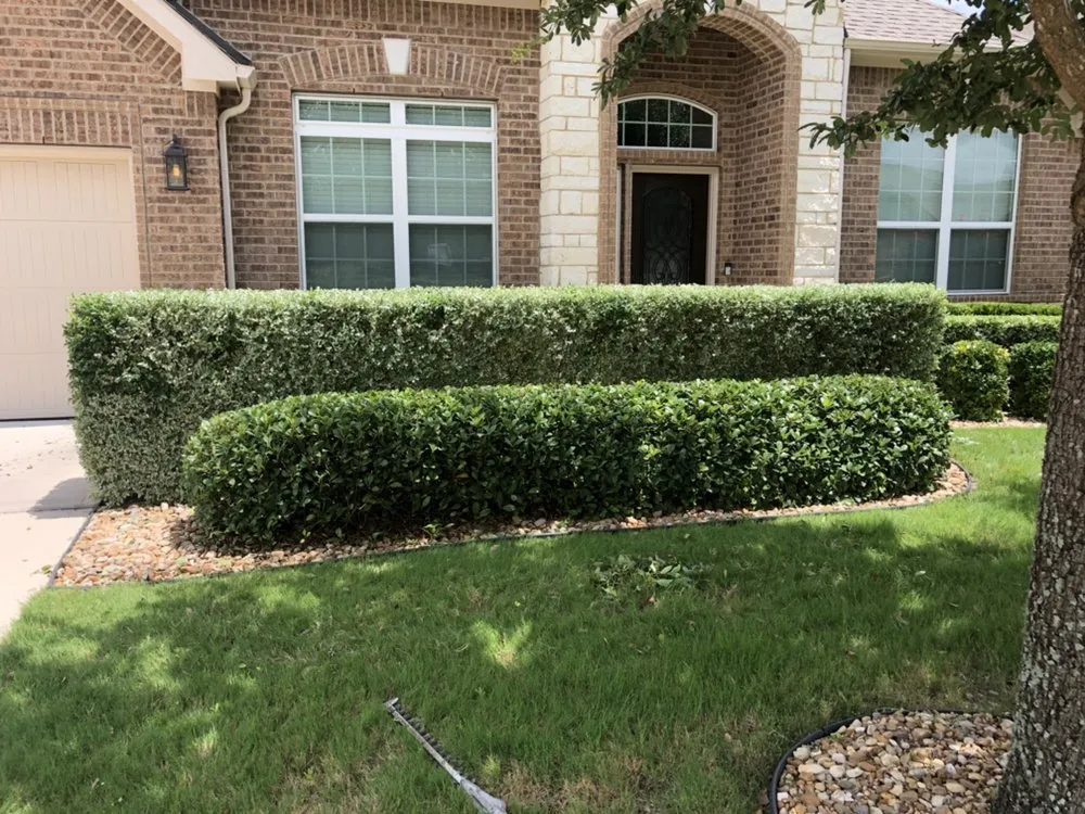 Expert landscape installation in Round Rock, TX - Ranger Lawn Care