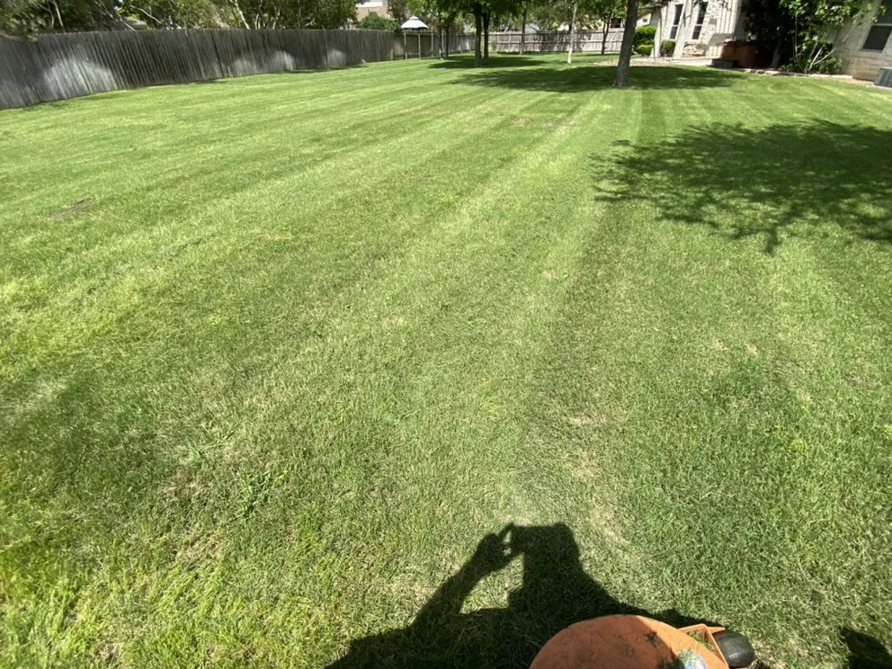 Top-rated yard maintenance for year-round maintenance across Round Rock, TX - Ranger Lawn Care