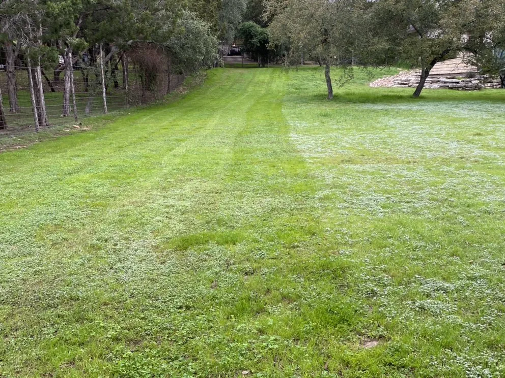 Trusted outdoor landscaping with custom design in Round Rock, TX by Ranger Lawn Care