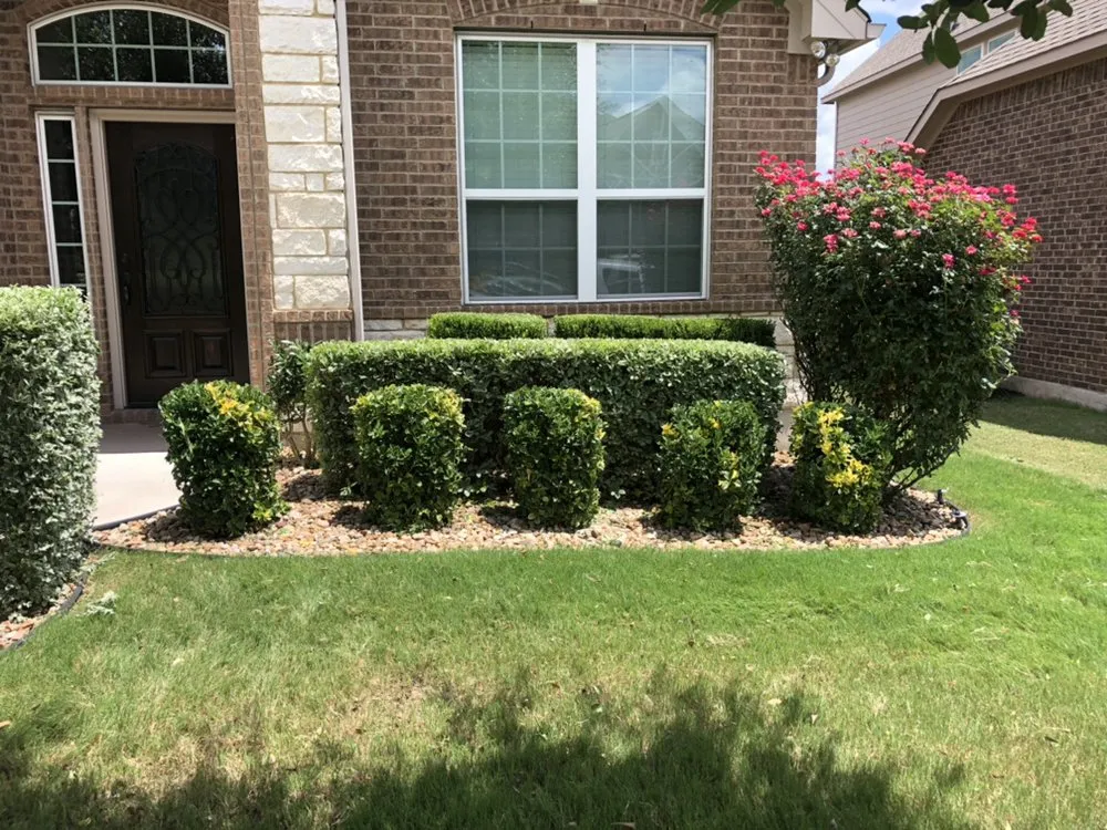 Professional yard maintenance experts serving Round Rock, TX - Ranger Lawn Care