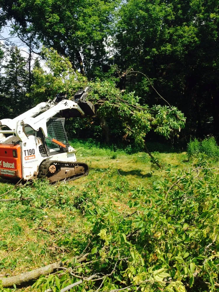 Trusted landscaping services in Blaine, MN by Ranger Property Services