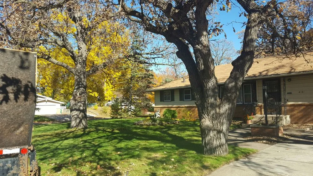 Affordable yard cleanup service for year-round maintenance across Blaine, MN - Ranger Property Services