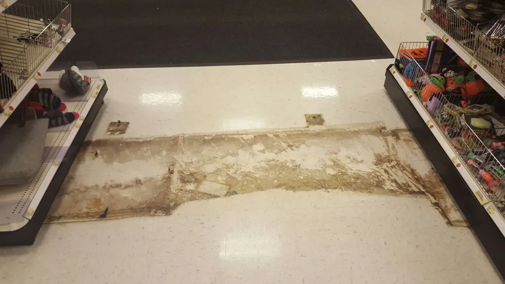 Trusted lawn care service for residential properties across Blaine, MN - Ranger Property Services