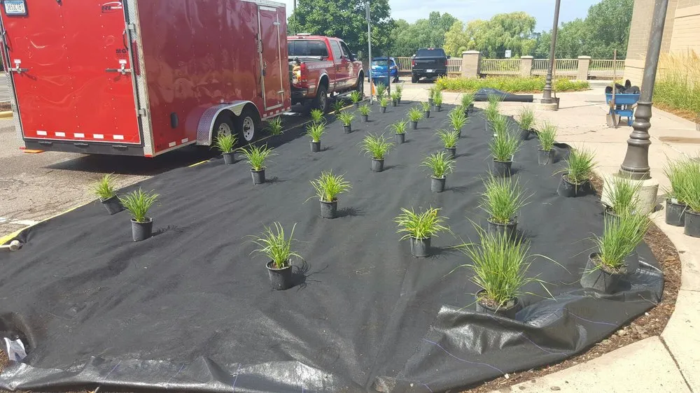 Top-rated lawn care service in Blaine, MN by Ranger Property Services