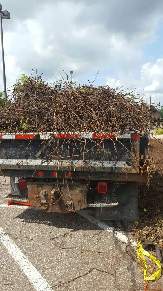 Professional garden landscaping experts serving Blaine, MN - Ranger Property Services