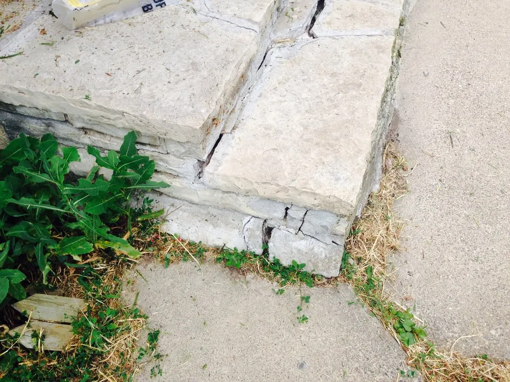 Top-rated lawn care service near you in Blaine, MN by Ranger Property Services