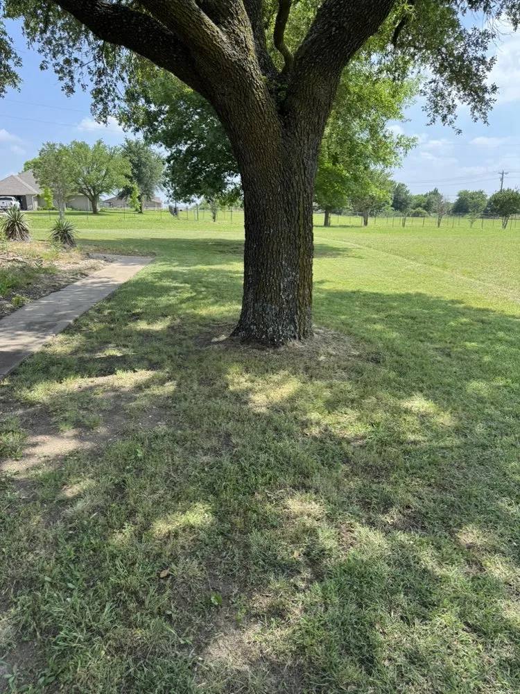 Professional lawn mowing service near you in Dallas, TX by Rangers Exterior Home Care