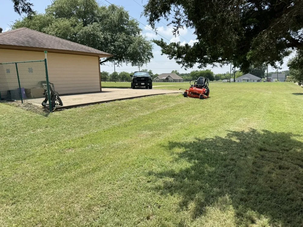 Expert yard maintenance in Dallas, TX - Rangers Exterior Home Care