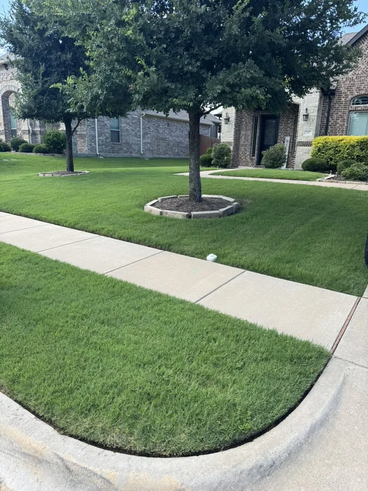 Local landscape installation experts serving Dallas, TX - Rangers Exterior Home Care