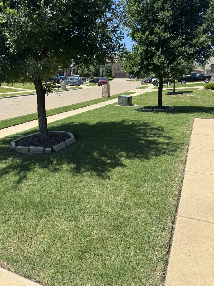 Trusted yard cleanup service experts serving Dallas, TX - Rangers Exterior Home Care