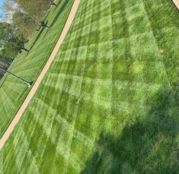Local lawn mowing service for residential properties across Chattanooga, TN - Rango Tree