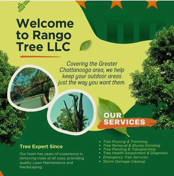Expert landscape design with custom design across Chattanooga, TN - Rango Tree