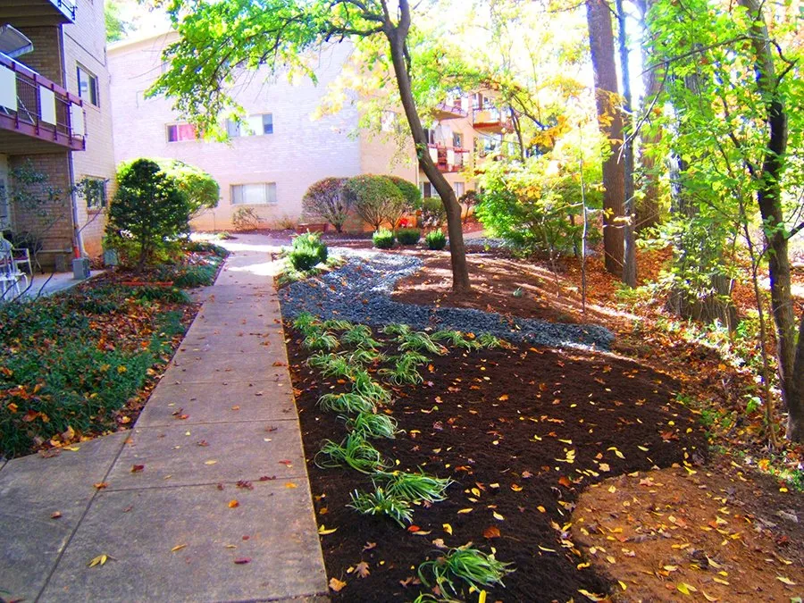 Reliable yard maintenance in Dumfries, VA - Rankin Landscaping