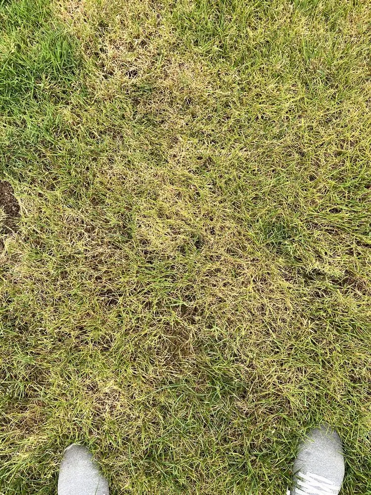 Reliable yard cleanup service in Hartville, OH by Rankin Lawn Care