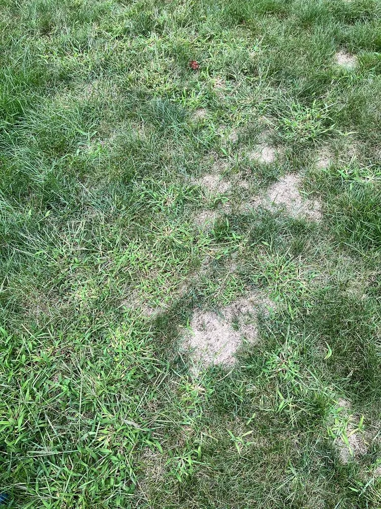 Local landscape design with custom design across Hartville, OH - Rankin Lawn Care