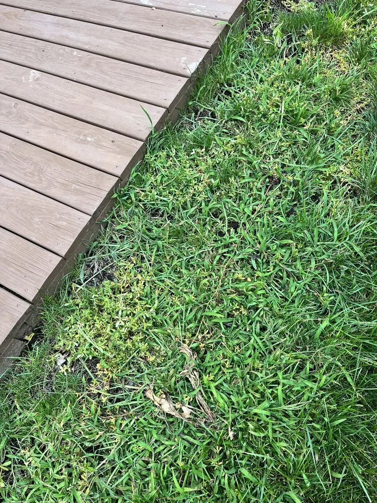 Reliable landscaping services near you across Hartville, OH - Rankin Lawn Care