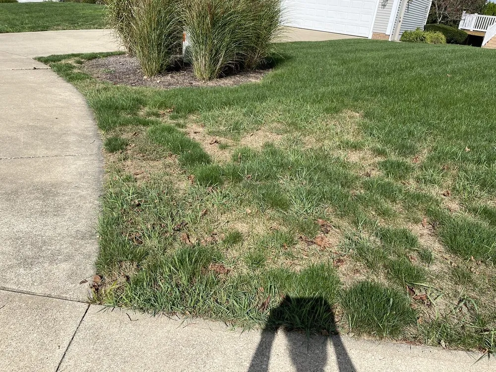 Top-rated residential landscaping for year-round maintenance in Hartville, OH by Rankin Lawn Care
