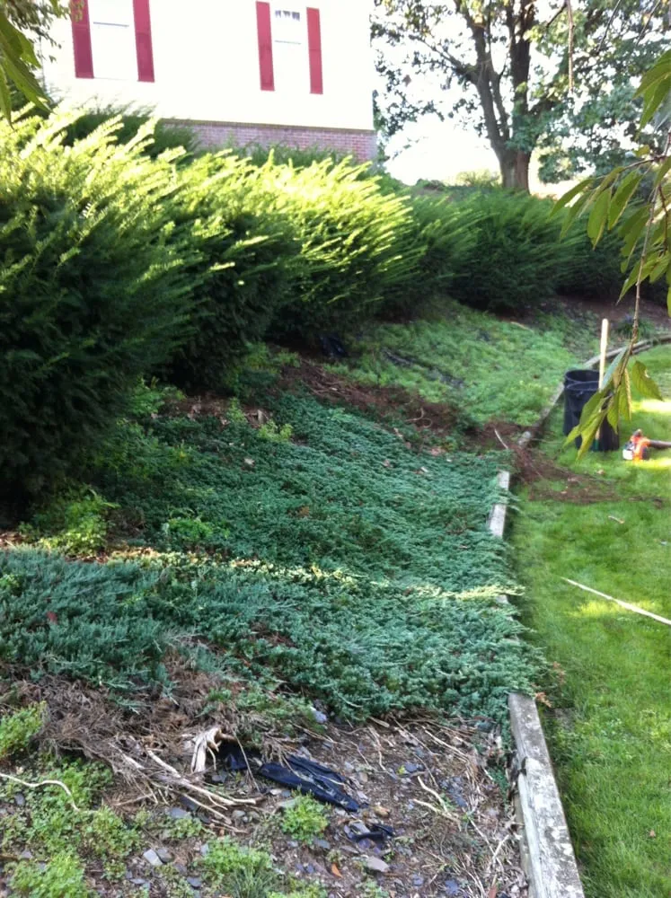 Reliable outdoor landscaping in York, PA - Rannel's