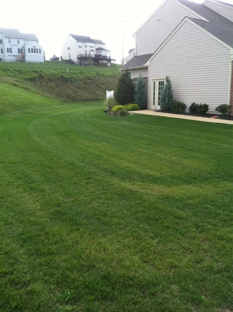 Professional landscape installation in York, PA by Rannel's