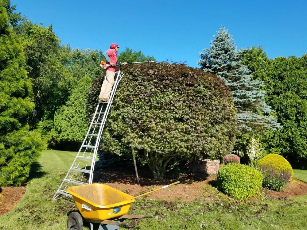 Affordable lawn care service experts serving Brookfield, CT - Ranolfi Lawnscaping Service