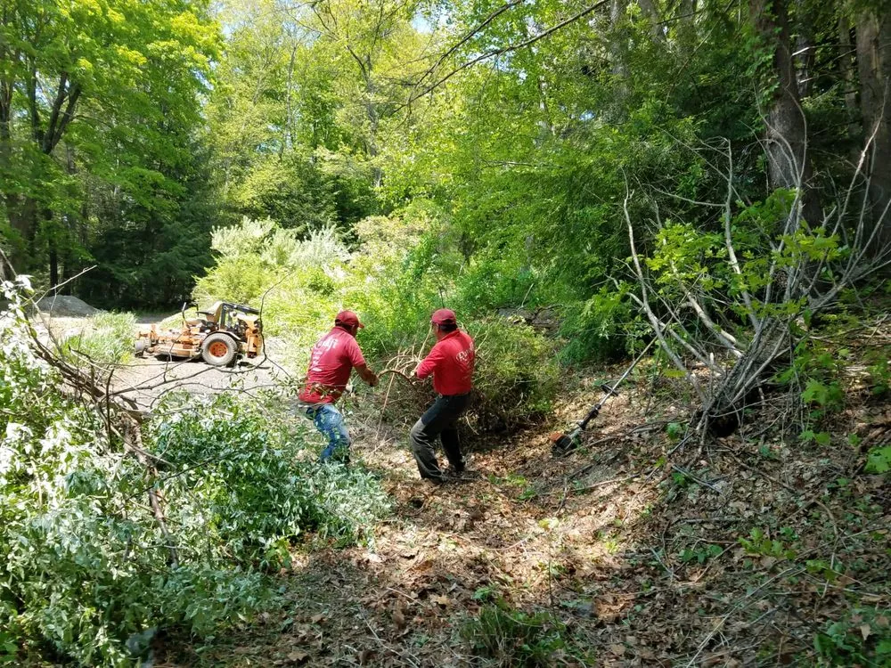 Reliable residential landscaping in Brookfield, CT - Ranolfi Lawnscaping Service