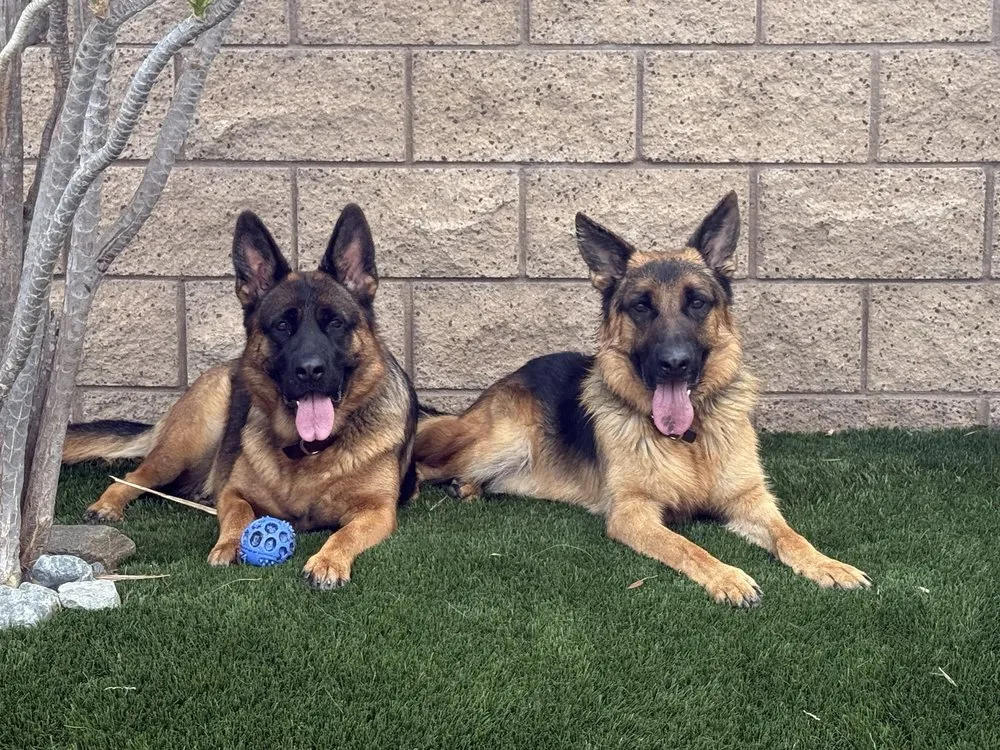 Top-rated garden landscaping for residential properties across Norco, CA - Ranscapes