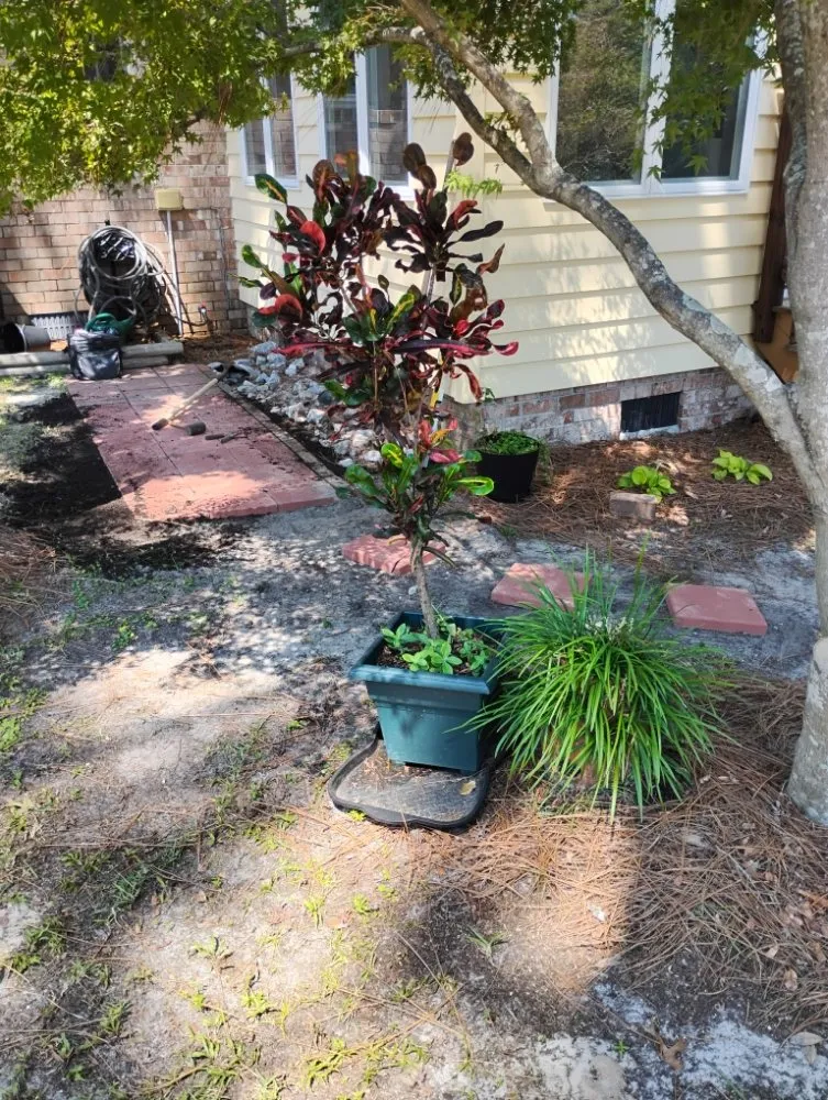 Trusted residential landscaping for residential properties in Rocky Point, NC by Ransom handyman & lawn care