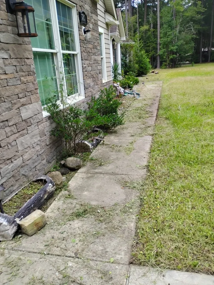 Professional yard cleanup service in Rocky Point, NC by Ransom handyman & lawn care