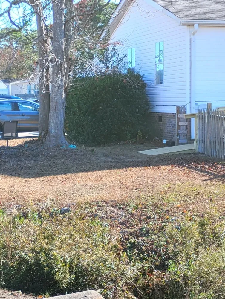 Professional landscaping services in Rocky Point, NC - Ransom handyman & lawn care