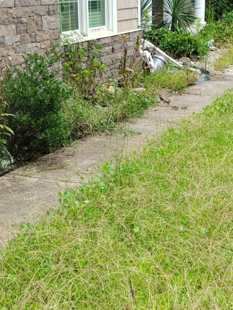 Local garden landscaping for beautiful yards across Rocky Point, NC - Ransom handyman & lawn care