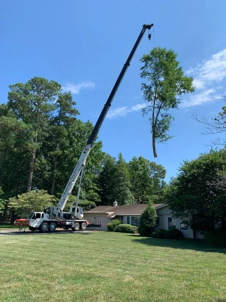 Reliable residential landscaping in Weems, VA by Ransone's Nursery & Maintenance