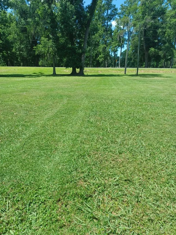 Custom lawn mowing service near you in Hubert, NC by Ranzacts Lawn Service